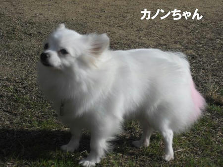 dd96a730.jpg