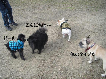9493e4c8.jpg
