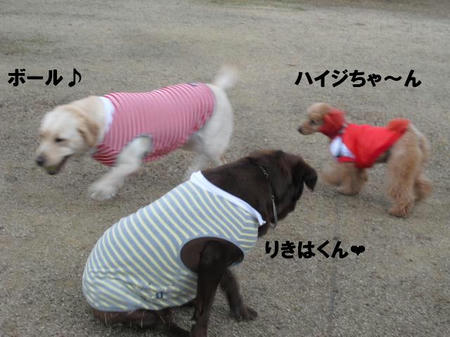 8dd1aa8a.jpg
