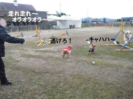 b9caf2b2.jpg