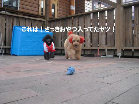 88c7915a.jpg