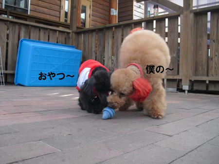 b836f9ed.jpg