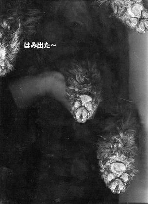 img155.jpg