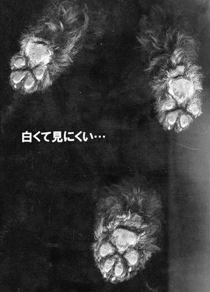 img156.jpg