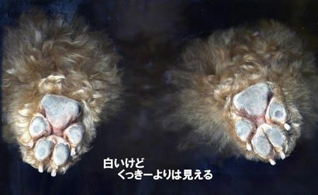 img157.jpg