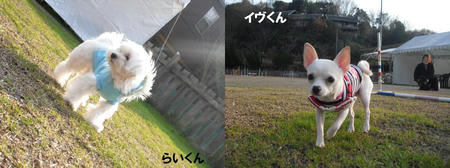 f4fc55b3.JPG