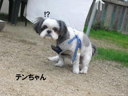 f69e182f.jpg