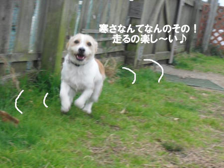f6c670a0.jpg