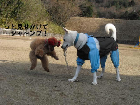 d0efdde1.jpg