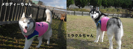 15ba0087.JPG