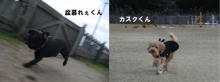 7a901787.JPG