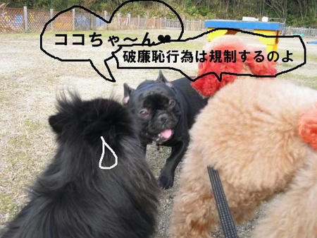 9f7d39c9.jpg