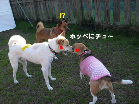 f6c3b48e.jpg