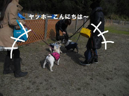 9f938d7b.jpg