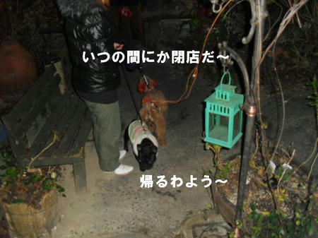 c93f7e8a.jpg