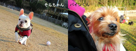 209b6f83.JPG