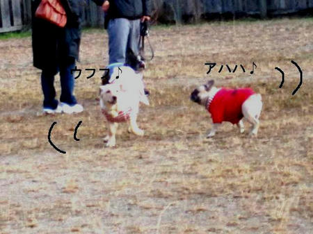 ys7vF.jpg
