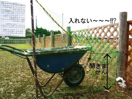 c56c4103.JPG