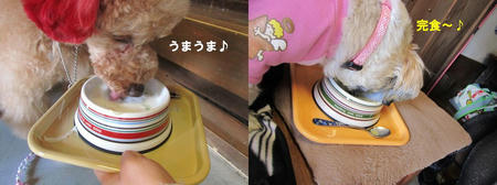 7d7909be.JPG