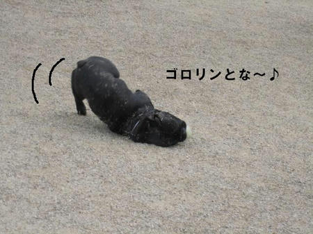 a.JPG