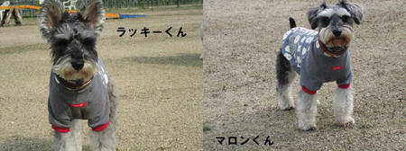 080252ef.JPG