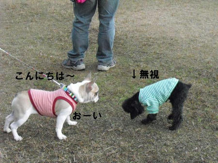 kuki-.jpg