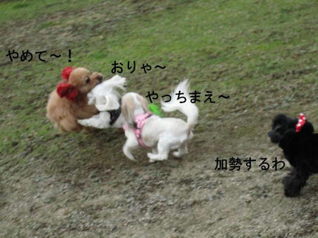 a07920ed.JPG