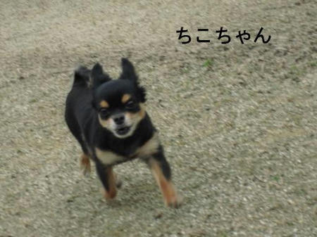 dd5c030e.jpg