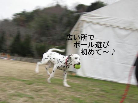 57a703ef.jpg