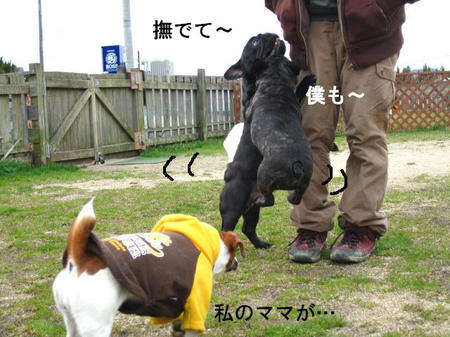 4254a962.jpeg
