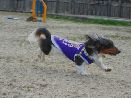 IMG_4025.jpg