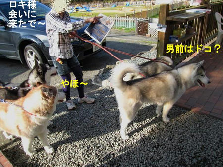 3cd0db53.jpeg