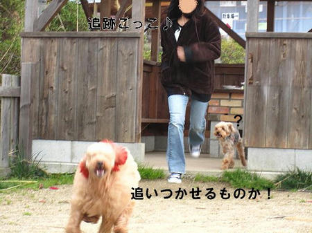 571d29b8.jpeg