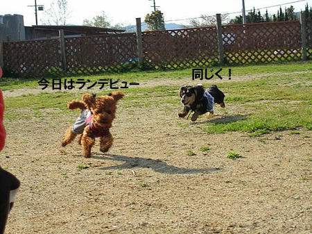 a4535456.jpeg