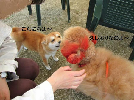d2d29f88.jpeg