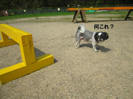74856006.jpeg