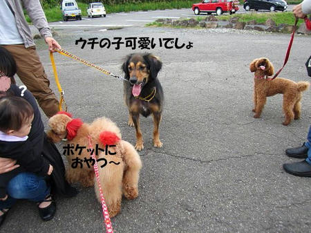 54f6c31b.jpeg