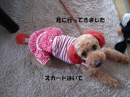 89752cbc.jpeg