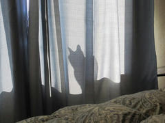 IMG_1233.JPG