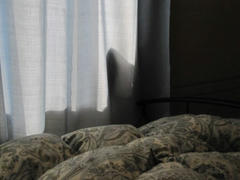 IMG_1355.JPG