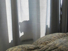 IMG_1476.JPG