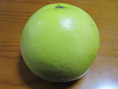 IMG_1522.JPG