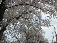 IMG_2548.JPG