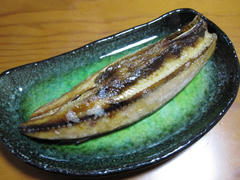 IMG_2585.JPG