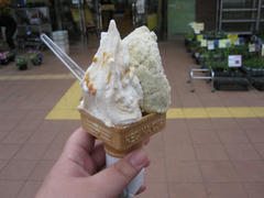 IMG_2643.JPG