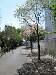 IMG_2670.JPG