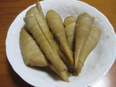 IMG_3256.JPG