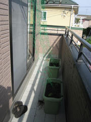 IMG_3271.JPG