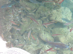 IMG_4042.JPG
