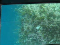 IMG_4053-05.jpg